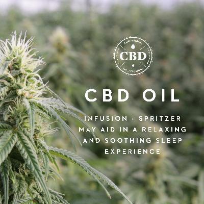 Zoned Active Dough & CBD Oil