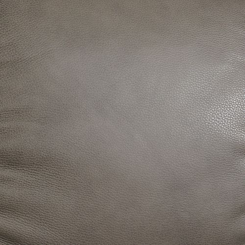 Trouper Leather Reclining Loveseat