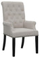 Alana Velvet Upholstered Dining Arm Chair Sand