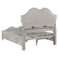 Evangeline Wood Queen LED Storage Panel Bed Silver Oak