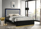 Caraway Wood Queen LED Panel Bed Black