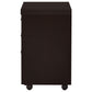 Skeena 3-drawer Mobile Office Storage Cabinet Cappuccino