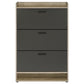 Denia 3-tier Engineered Wood Shoe Cabinet Grey