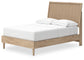 Ashley Express - Cielden  Panel Bed