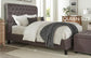 CAMERON - SEAL QUEEN BED 5/0