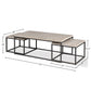 CROSSINGS MONACO RECTANGULAR NESTING COCKTAIL TABLE